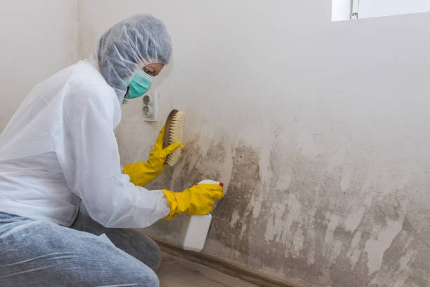 Best Preventive Mold Services in Sunnyside Tahoe City, CA