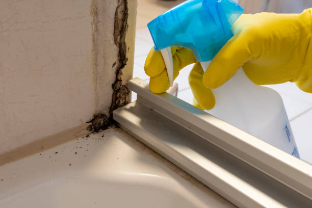 Best Bathroom Mold Remediation in Sunnyside Tahoe City, CA