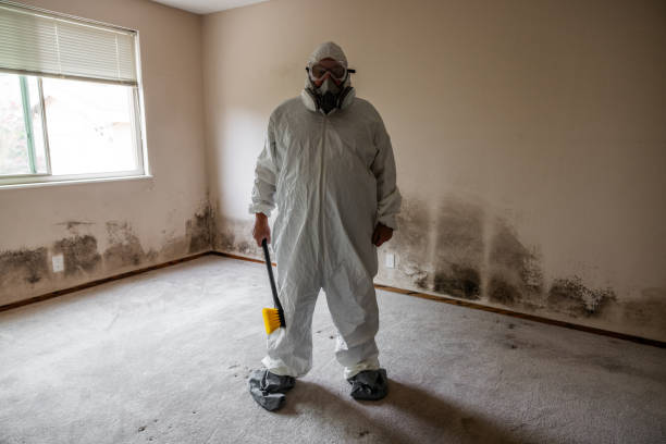 Best Crawl Space Mold Remediation in Sunnyside Tahoe City, CA