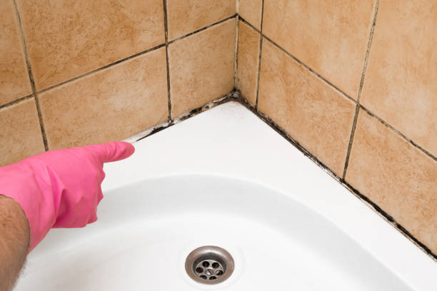Best Residential Mold Remediation in Sunnyside Tahoe City, CA